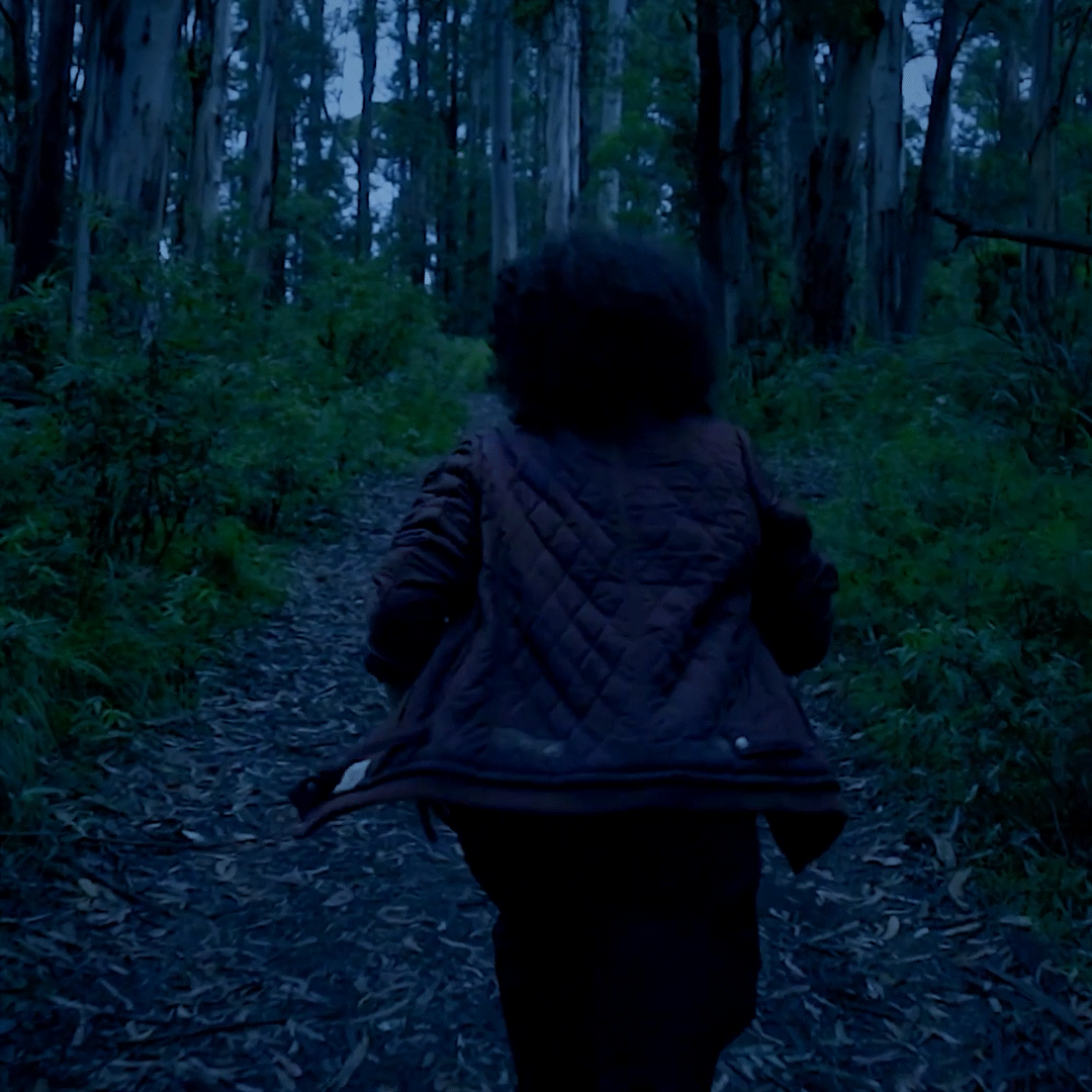 Mysterious Forest GIF